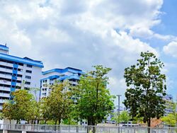 Blk 547A Segar Vale (Bukit Panjang), HDB 4 Rooms #566511451